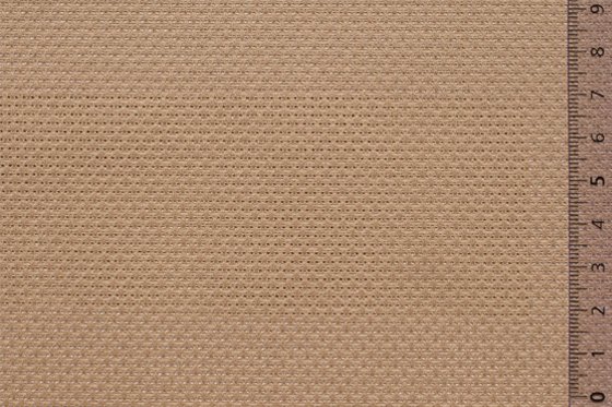 06AID56CAPxxxCOT[AIDAMAS 52](HASELNUT)F 560x560